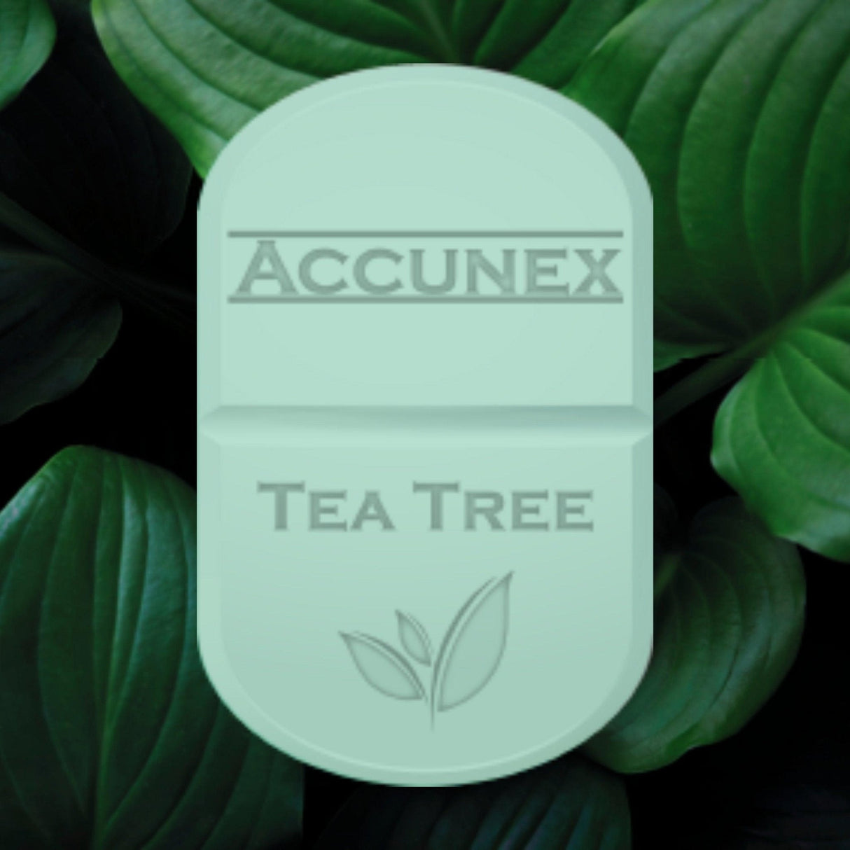 Accunex Soap - Filler Lux™